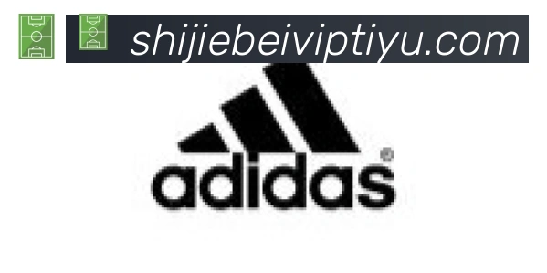 世界杯赛事官方网站合作伙伴